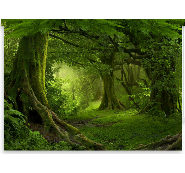 Rolgordijn bomen bosrijke ontsnapping - TenStickers