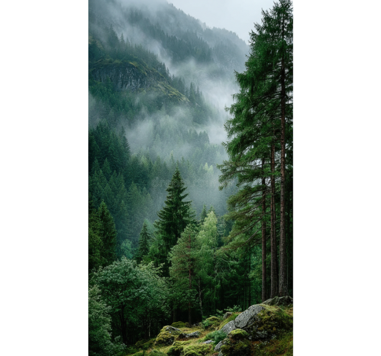 Rolgordijn bomen de sfeervolle keuze - TenStickers