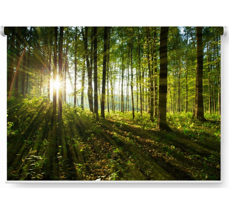 Rolgordijn bomen gouden zonnestraal hout - TenStickers