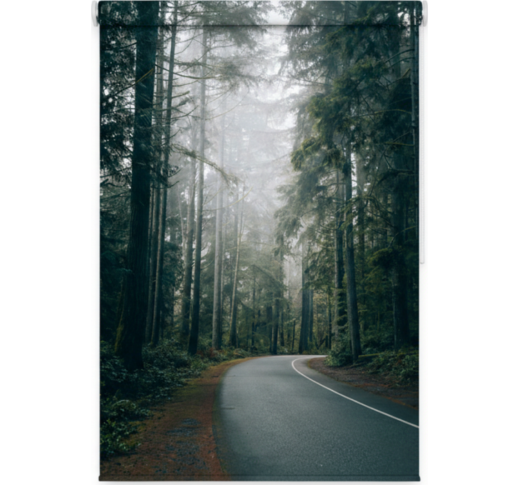 Rolgordijn bomen foggy pine road - TenStickers