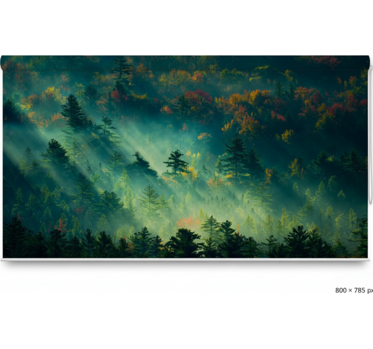 Rolgordijn bomen de sfeervolle bos - TenStickers