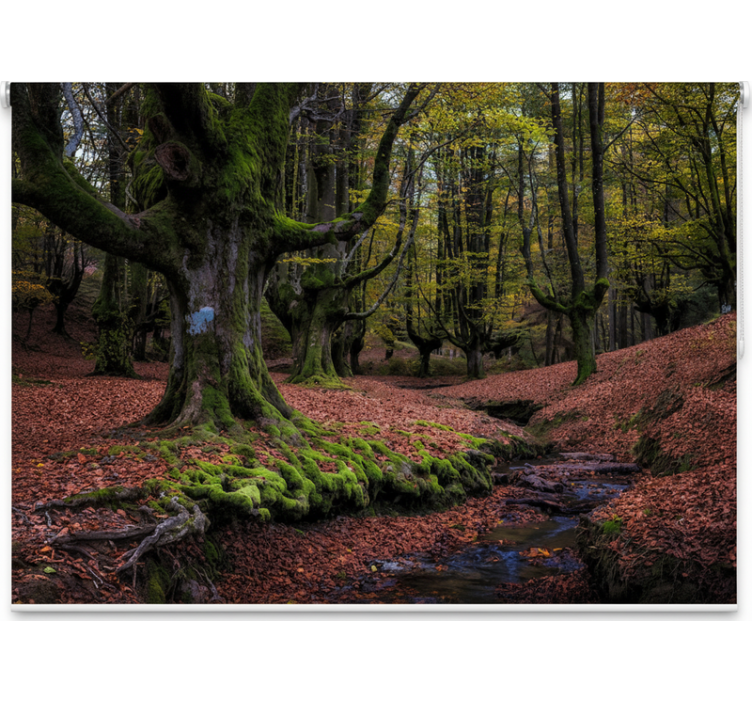 Rolgordijn bomen betoverend herfstbos - TenStickers