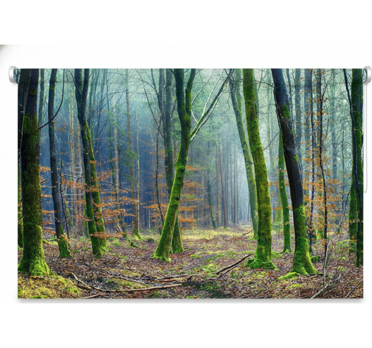 Rolgordijn bomen foggy forest japandi - TenStickers