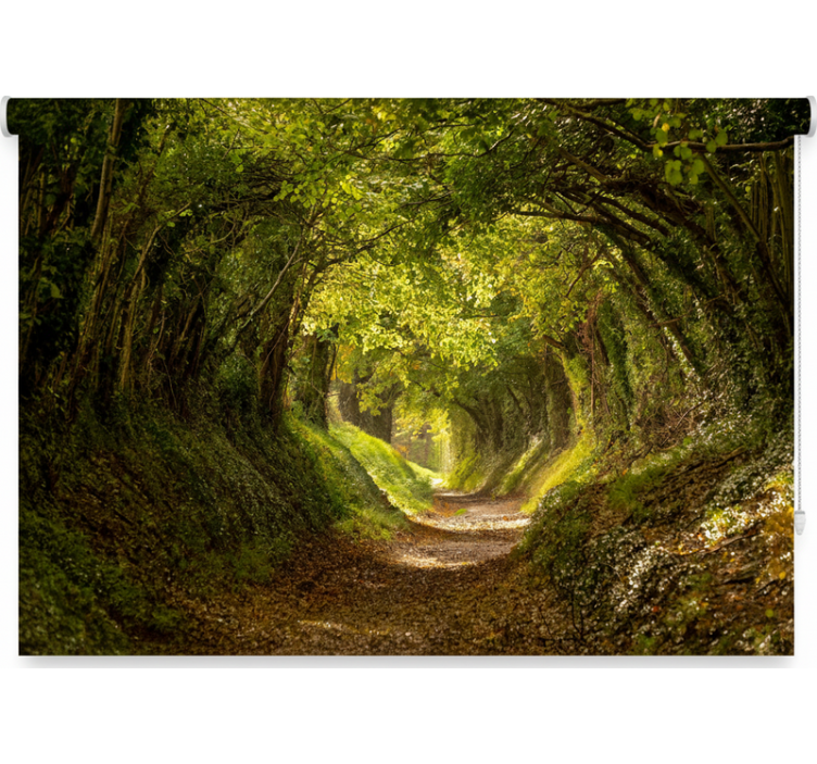 Rolgordijn bomen natuurlijke bosmuur - TenStickers