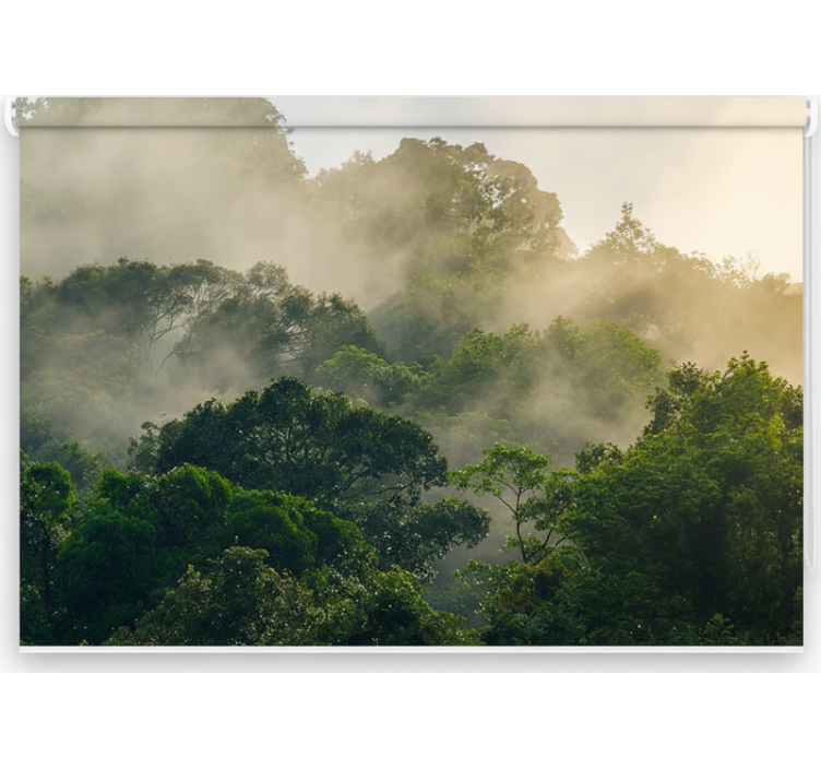 Rolgordijn bomen weelderig jungle canopy - TenStickers