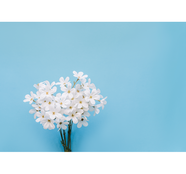 Keuken rolgordijn jazmin blauwe achtergrond - TenStickers