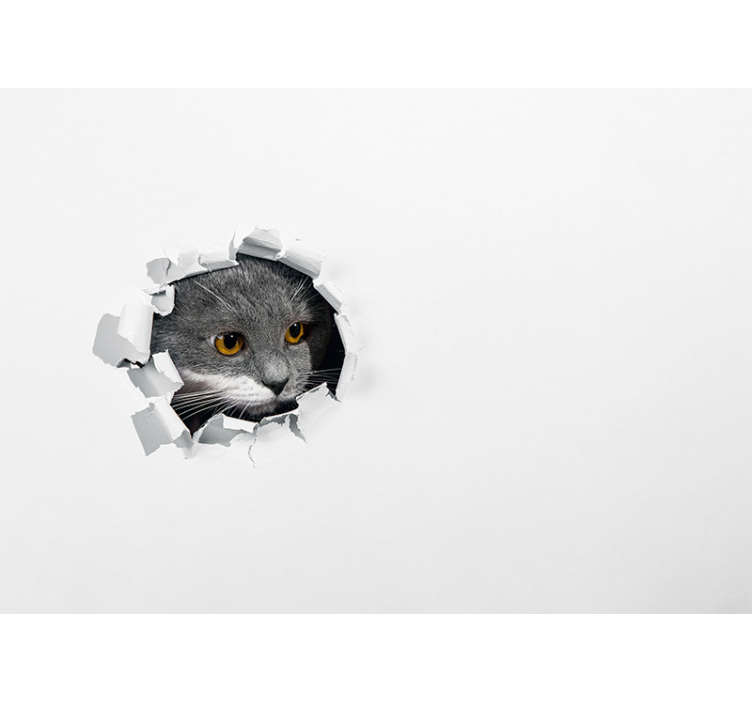 Wit rolgordijn schattige kat - TenStickers