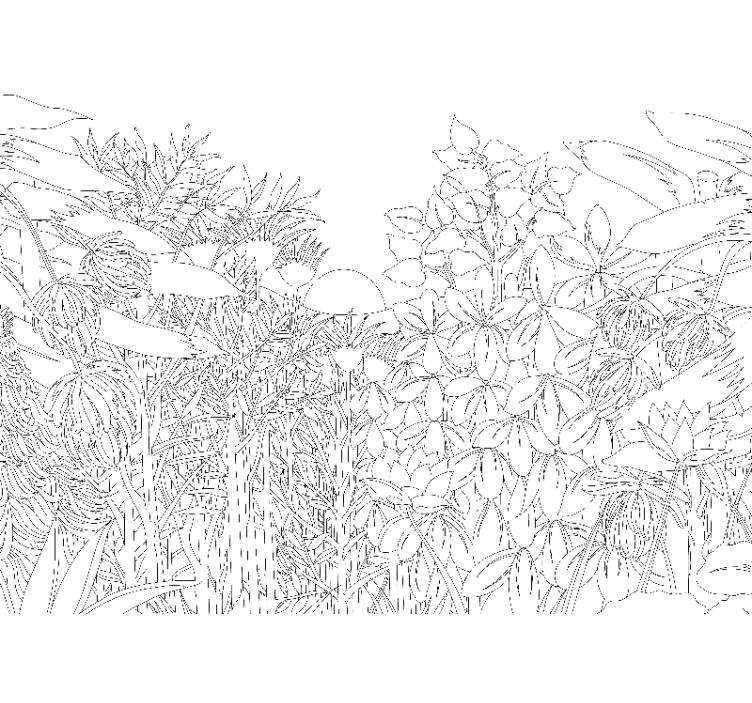 Wit rolgordijn tropische jungle tekening - TenStickers