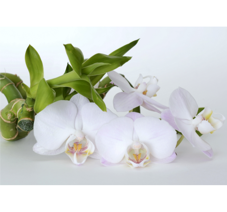 Wit rolgordijn witte groene orchidee - TenStickers