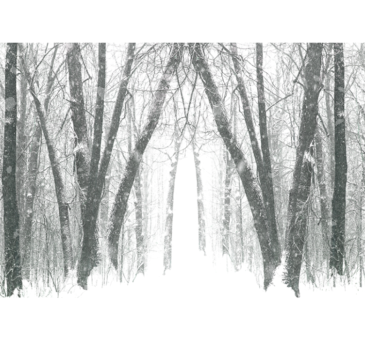 Wit rolgordijn winterbomen in het bos - TenStickers