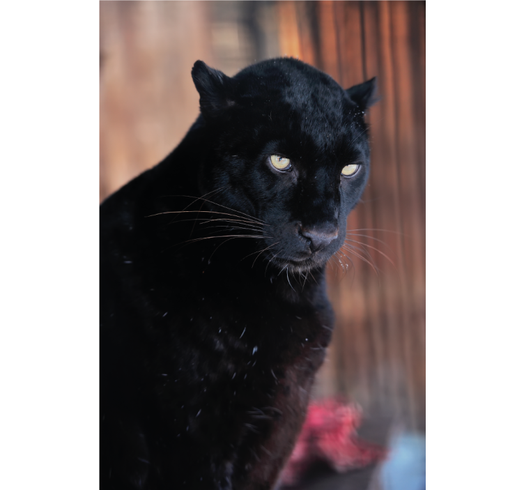 Rolgordijn woonkamer leopard besluipend - TenStickers