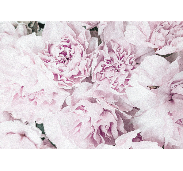 Rolgordijn woonkamer elegant ontwerp met roze pioenrozen - TenStickers