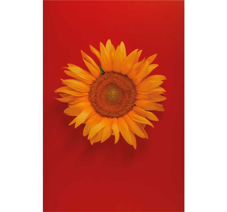 Rolgordijn bloemen Rood oranje zonnebloem - TenStickers