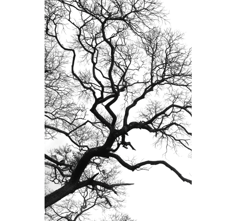 Kunst rolgordijnen Enkele houttak breuk - TenStickers