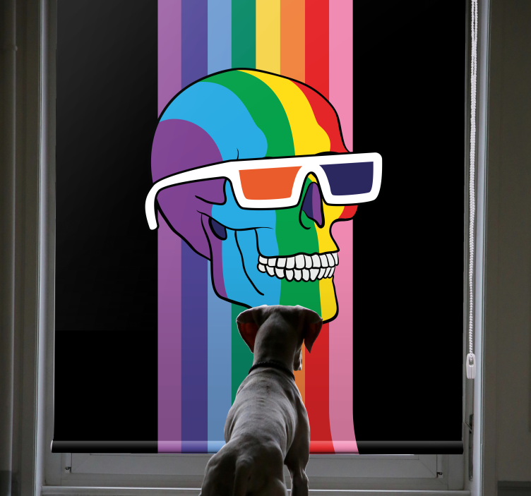 Regenboog schedel zonnebril nerd rolgordijn - TenStickers