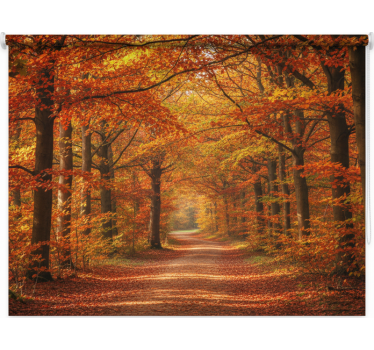 Rolgordijn bomen herfstboom pad - TenStickers