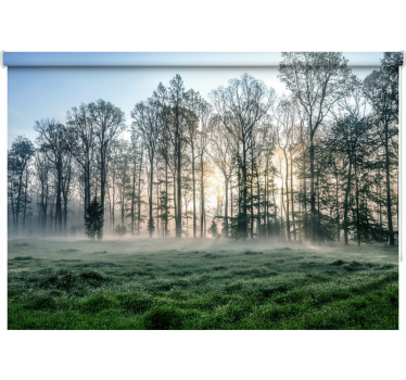 Rolgordijn bomen mistige ochtendweide - TenStickers