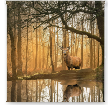 Rolgordijn bomen gouden hertenmeer - TenStickers