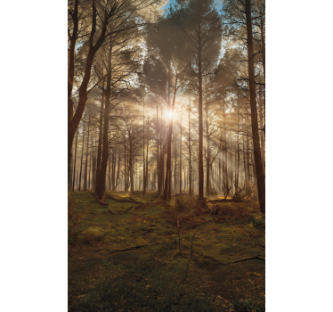 Rolgordijn bomen golden wildlife lounge - TenStickers