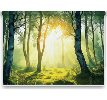 Rolgordijn bomen zonovergoten berk muurdecoratie - TenStickers