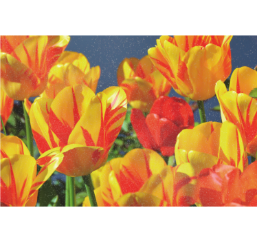Rolgordijn woonkamer rode en gele tulpen - TenStickers