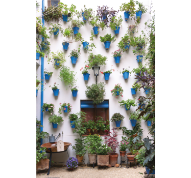 Rolgordijn woonkamer patio andaluz - TenStickers