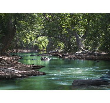 Rolgordijn woonkamer bos en rivier - TenStickers