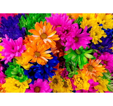 Rolgordijn woonkamer kleurrijke chrysant - TenStickers