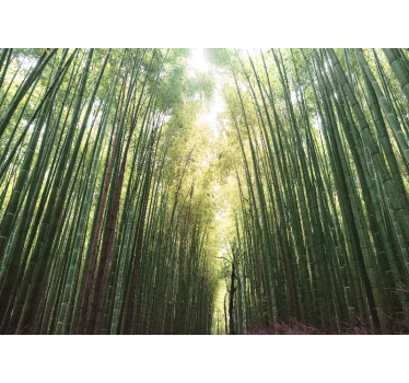 Rolgordijn woonkamer bamboo forest zen - TenStickers