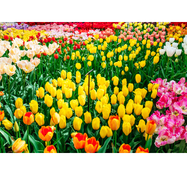 Rolgordijn woonkamer tulpen - TenStickers