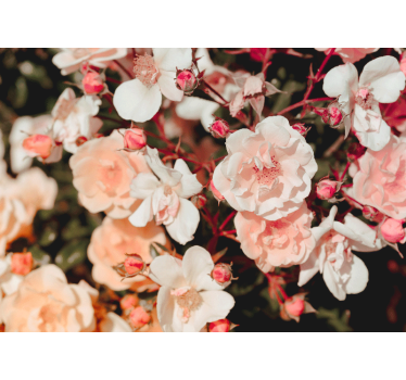 Rolgordijn woonkamer vol bloemen - TenStickers
