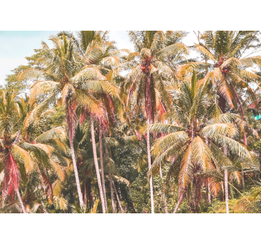 Rolgordijn woonkamer groene palm in de jungle - TenStickers