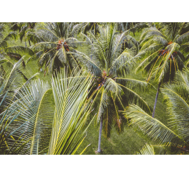Rolgordijn woonkamer groen palmbomen landschap - TenStickers