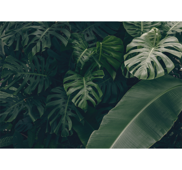 Rolgordijn woonkamer prachtige groene jungle - TenStickers