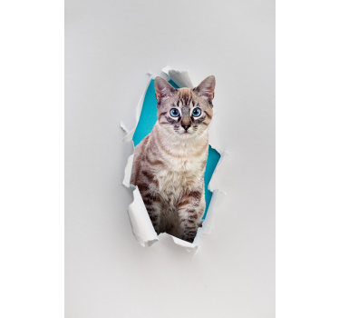Dieren rolgordijnen Kat - TenStickers
