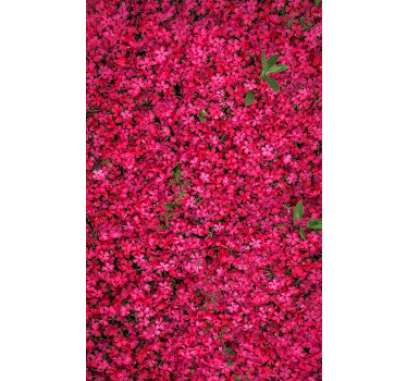 Levendige overvloed rolgordijn bloemen en planten - TenStickers