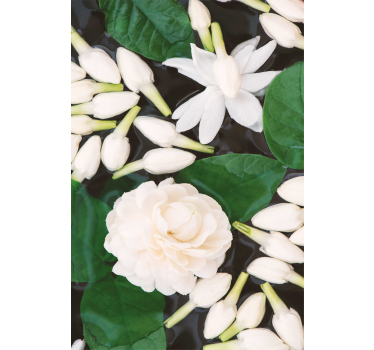 Sierlijke bloesemcompositie rolgordijn bloemen en planten - TenStickers