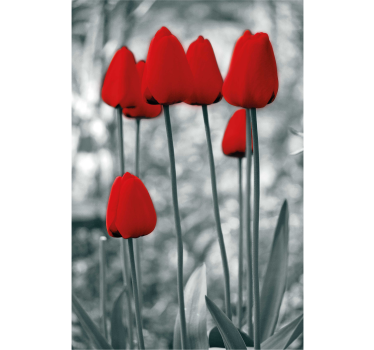 Rolgordijn bloemenprint Rode tulpen kleurrijk - TenStickers