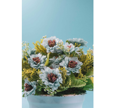 Sappige opstelling rolgordijn bloemen en planten - TenStickers