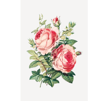 Romantische rozenbloesems rolgordijn bloemen en planten - TenStickers