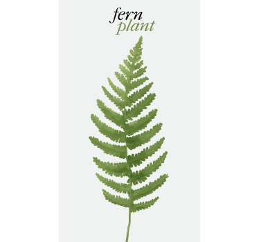 Varen groene plant rolgordijn bloemen en planten - TenStickers