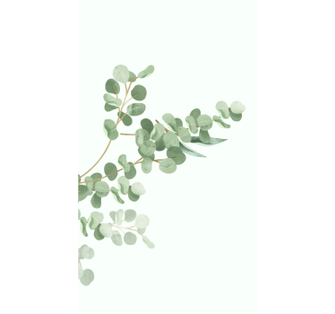 Eucalyptus tak ontwerp rolgordijn bloemen en planten - TenStickers
