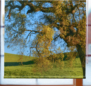 3D Natuur Rolgordijn met boom - TenStickers