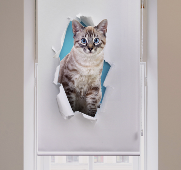 Dieren rolgordijnen Kat - TenStickers