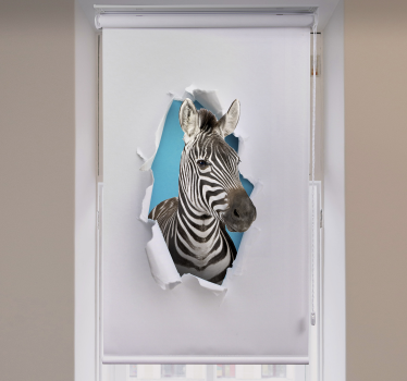 Dieren rolgordijnen Zebra - TenStickers