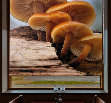 Groei van paddenstoelen rolgordijn bloemen en planten - TenStickers