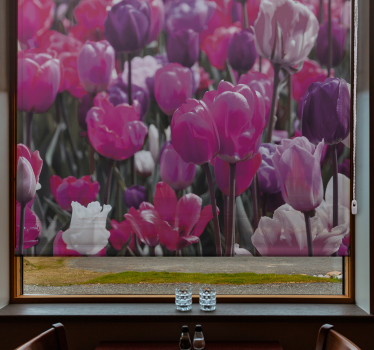 Paarse tulp bloeit rolgordijn bloemen en planten - TenStickers