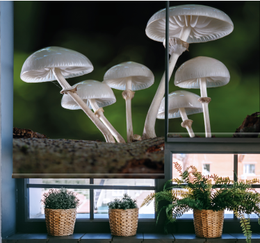 Paddenstoelencluster rolgordijn bloemen en planten - TenStickers
