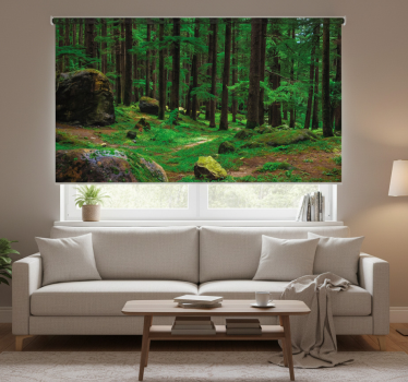 Rolgordijn woonkamer groen bos met bomen - TenStickers