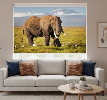 Rolgordijn woonkamer kilimanjaro olifant - TenStickers